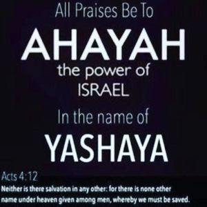 Meet your Posher, Mista